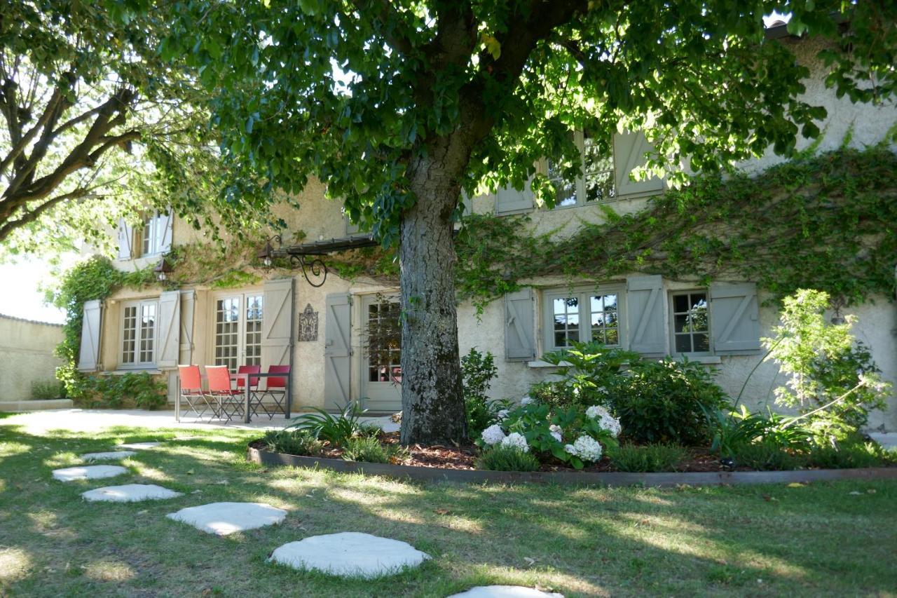 Belleville-en-Beaujolais Le Bel Air De Saint Jean Bed & Breakfast エクステリア 写真